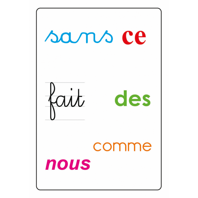 Tam Tam Safari : Les mots outils du CP