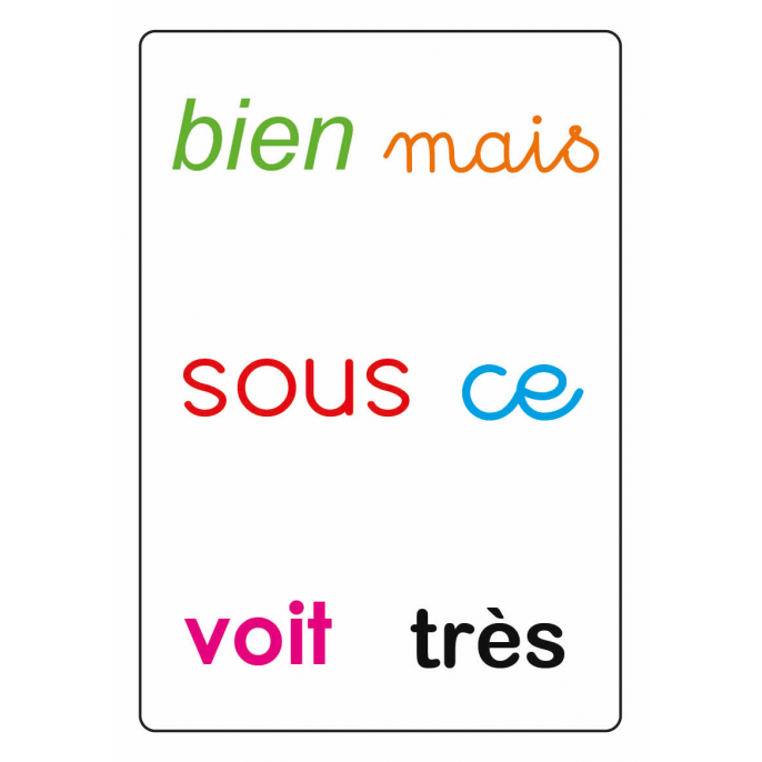 Tam Tam Safari : Les mots outils du CP