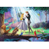 Puzzle 1000 pièces : La Belle au bois dormant (Collection Disney)