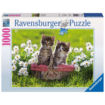 Puzzle 1000 p - Pique-nique au pré