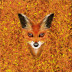 Piste de dés : Autumn Fox