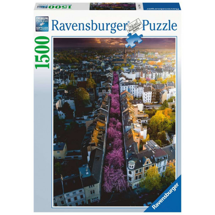 Puzzle : 1500 pièces - Bonn en fleurs