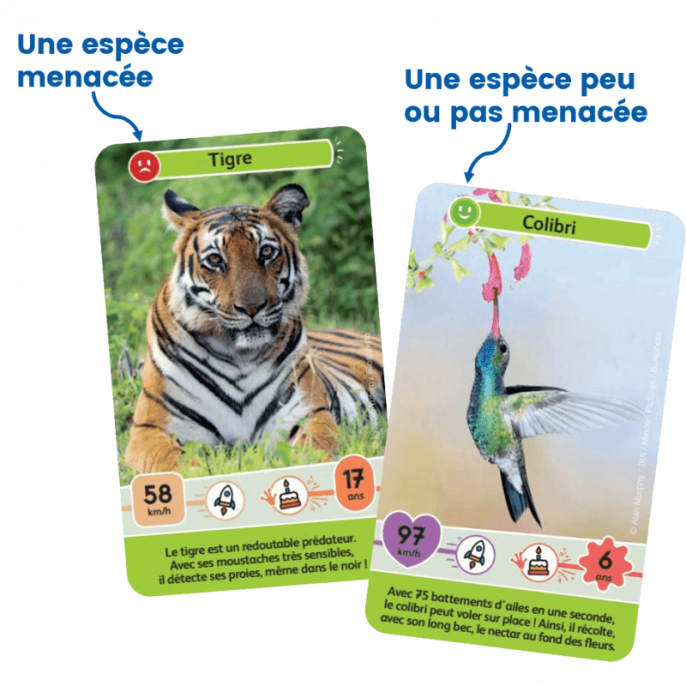 Défis Nature Junior : Mystères de la Jungle