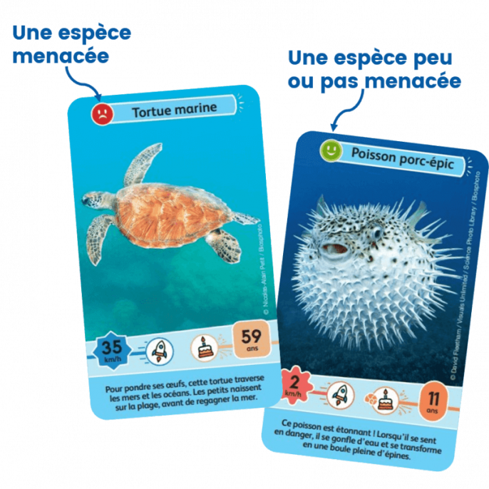 Défis Nature Junior : Merveilles de la Mer