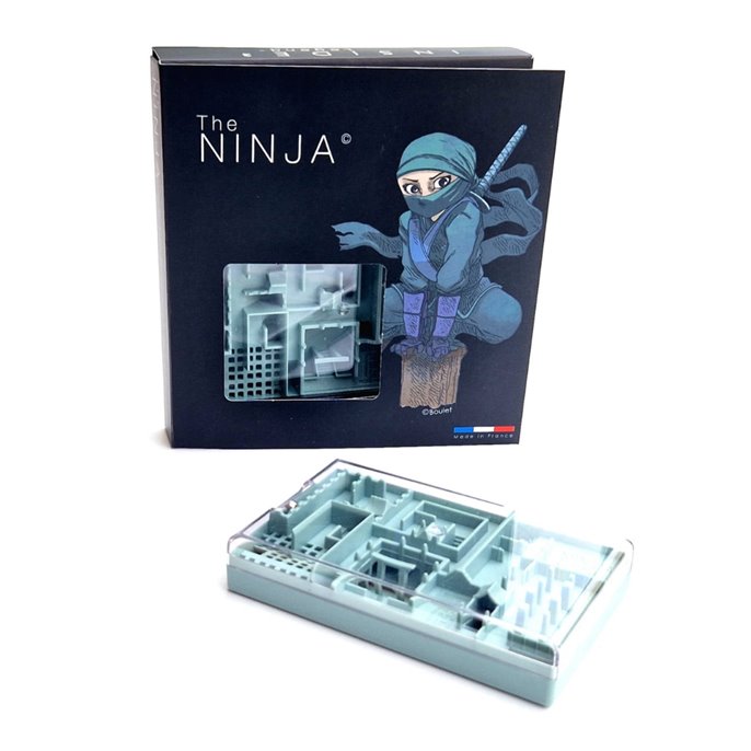 Inside Legend : The Ninja and the Masamume Katana