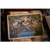 54 cartes : Robin Hood
