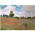 Puzzle : 1000 pièces - Claude Monet - Les Coquelicots