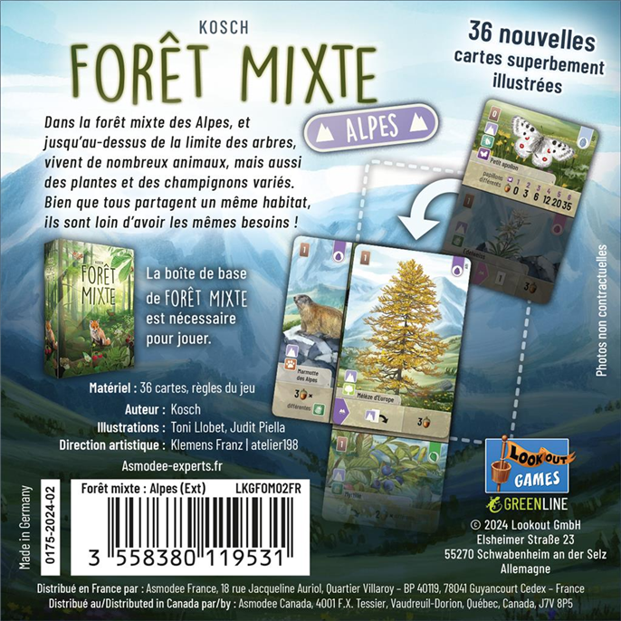 Forêt Mixte : Alpine