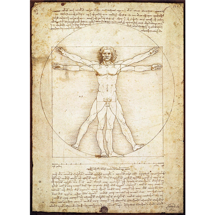 Puzzle 1000 pièces - Léonard de Vinci - L'homme de Vitruve