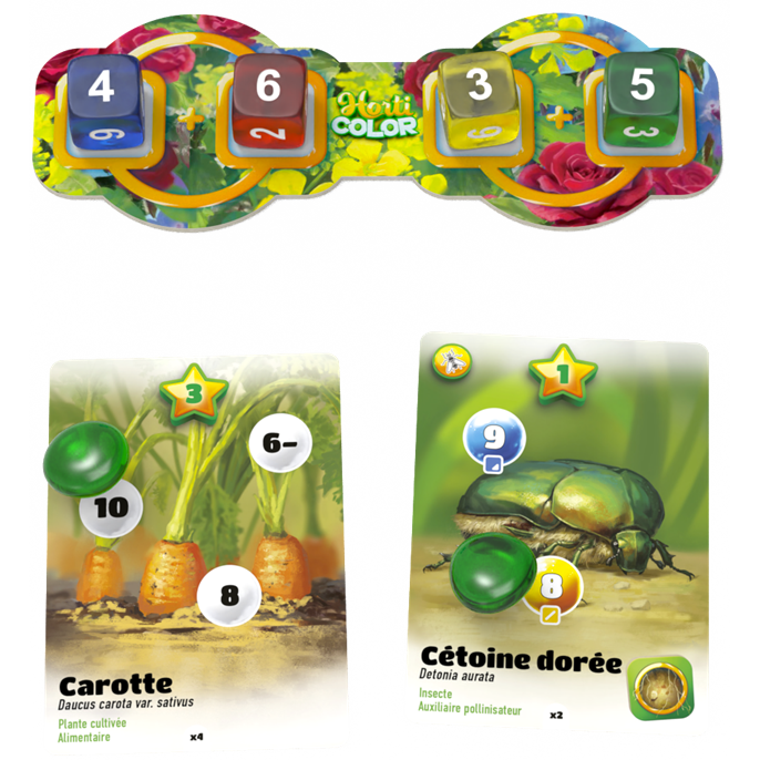 Horti Color