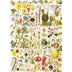 Puzzle : 1000 pièces - Botanical Bliss