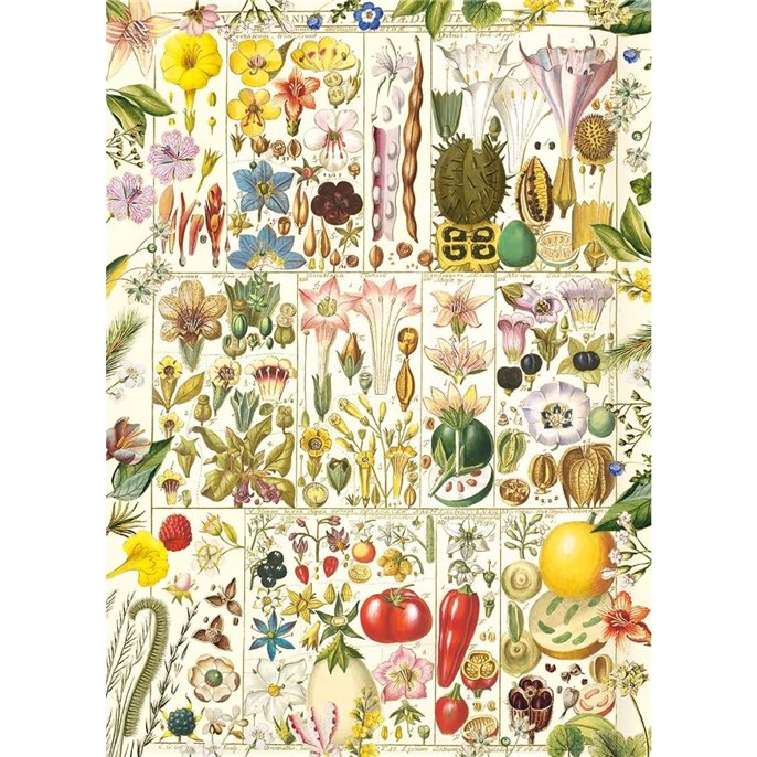 Puzzle : 1000 pièces - Botanical Bliss