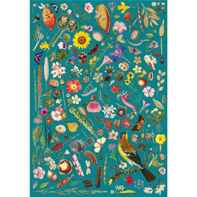 Puzzle : 1000 pièces - Floral Fantasy