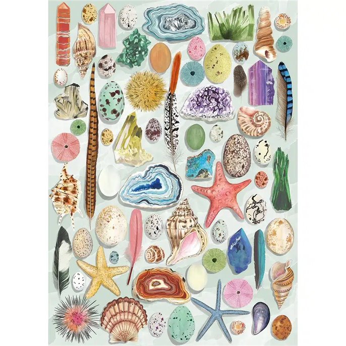 Puzzle : 1000 pièces - Natural Curiosities