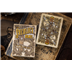 54 Cartes : Sherlock Holmes