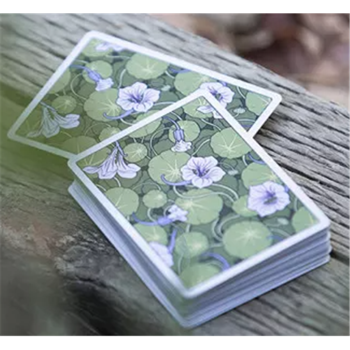 54 Cartes : World Tour France