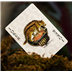 54 Cartes : Mooi