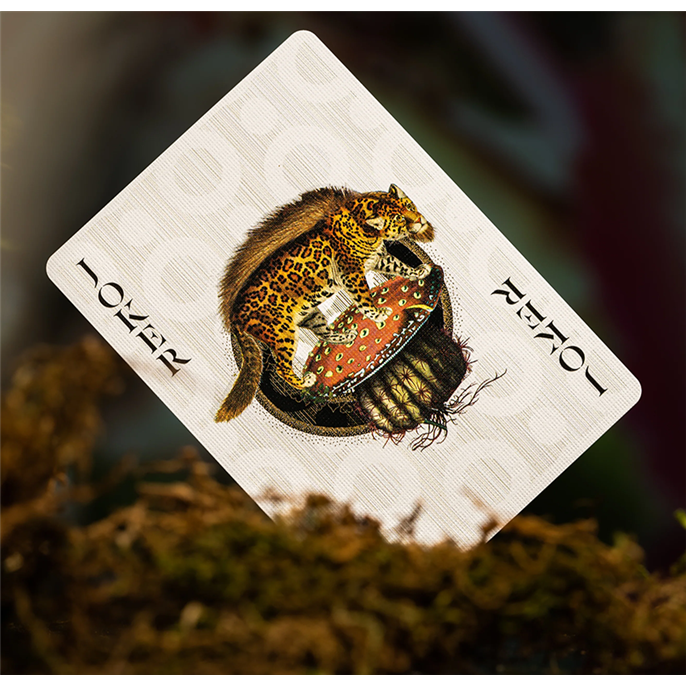 54 Cartes : Mooi