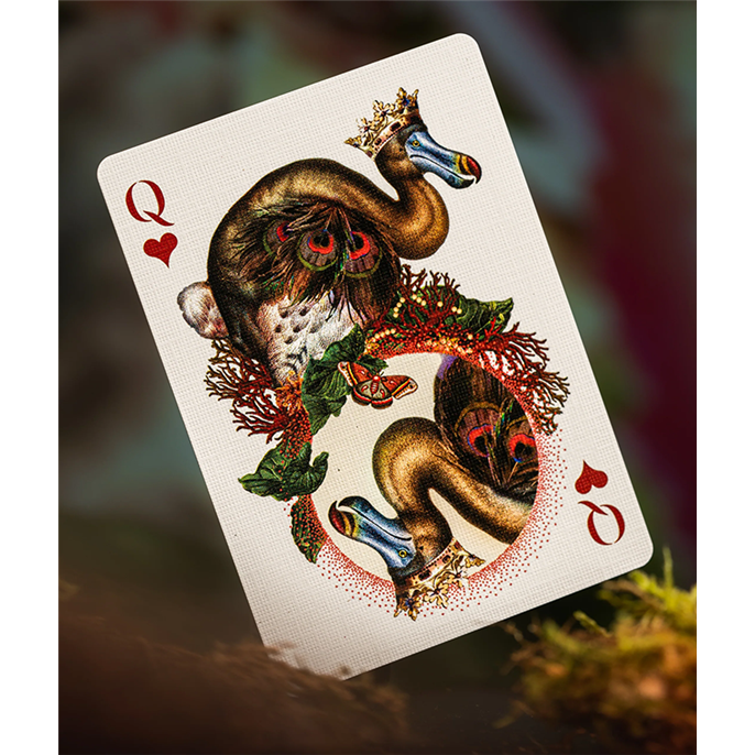 54 Cartes : Mooi