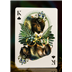 54 Cartes : Mooi