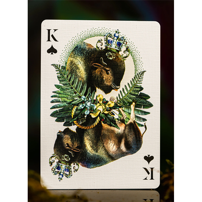 54 Cartes : Mooi