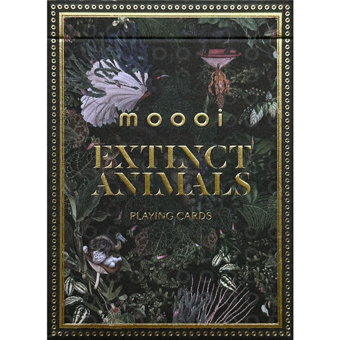 54 Cartes : Mooi