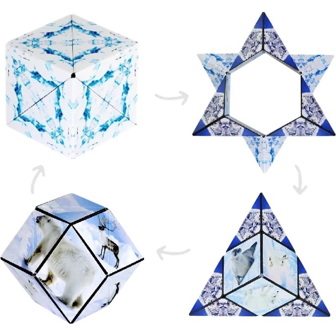 Shashibo Arctic