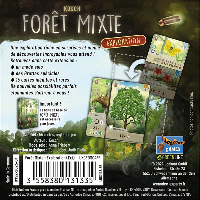Forêt Mixte : Exploration