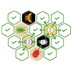 Hive : Coccinelle