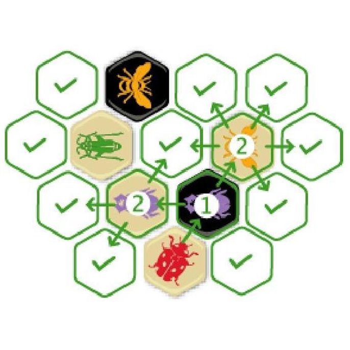 Hive : Coccinelle