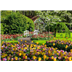 Puzzle : 1000 pièces - Jardins de Keukenhof, Pays-Bas