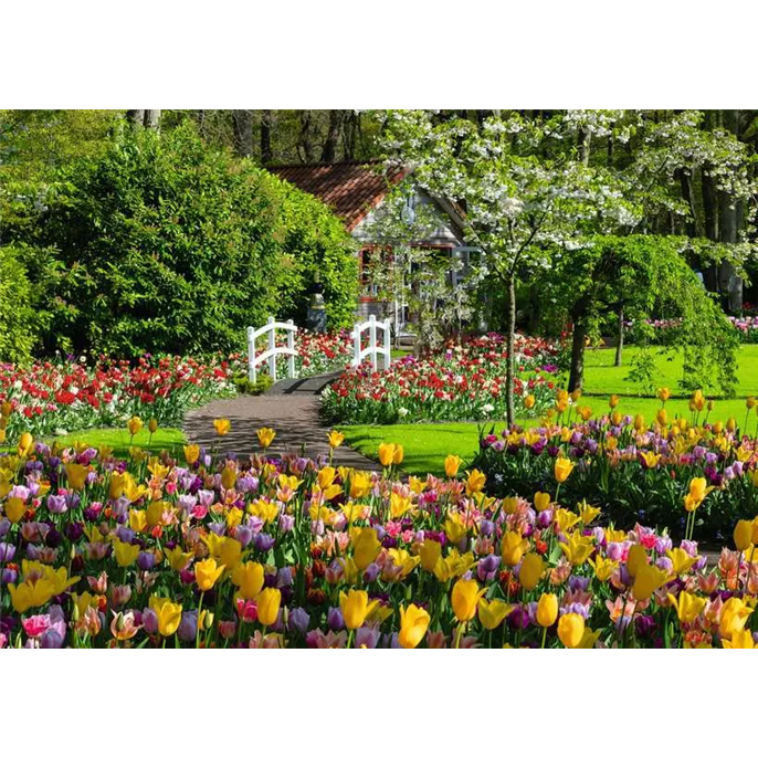 Puzzle : 1000 pièces - Jardins de Keukenhof, Pays-Bas