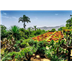 Puzzle : 1000 pièces - Jardin botanique, Madère
