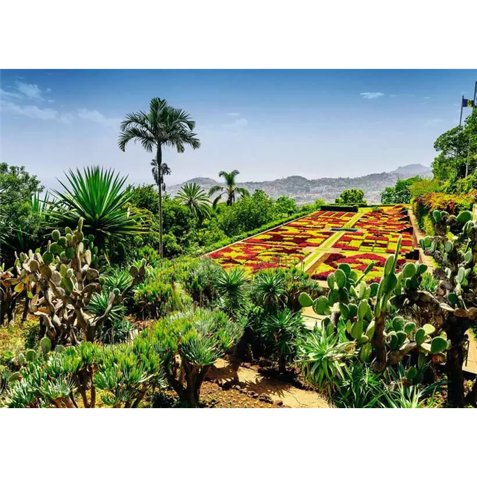 Puzzle : 1000 pièces - Jardin botanique, Madère