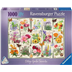 Puzzle : 1000 pièces - Affiches de fleurs de jardin
