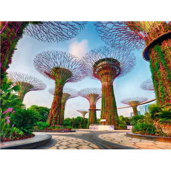 Puzzle : 1500 pièces - Jardin de la baie de Singapour