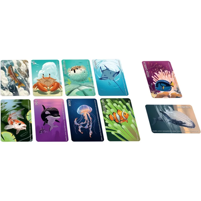 Similo : Animaux Aquatiques