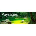 Paysages et Voyage