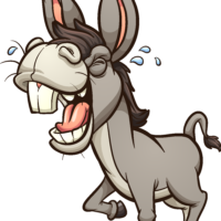 Braying Donkey