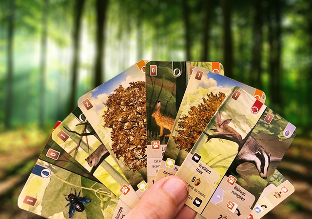 foret_mixte_bandeau